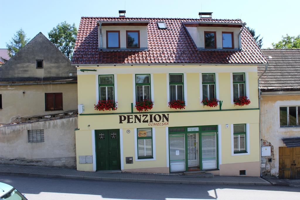 Апартаменты Penzion Gomelska Horni Stropnice Экстерьер фото